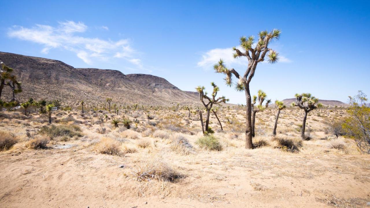 Hotel Wind Hill Yucca Valley Exteriér fotografie